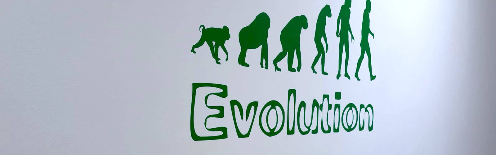 Sporttherapie Personal Training Bonn